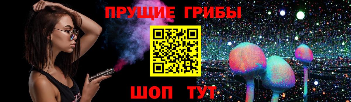 Псилоцибиновые грибы прущие грибы  Вход с VPN  Псилоцибиновые грибы Psilocybe  Горно-Алтайск 